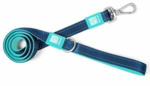 Max & Molly Short Leash - Sky Blue