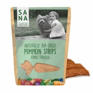 Sana Dog Veggie Strips Pompoen 100 gr