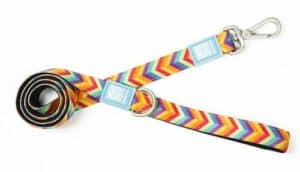 Max & Molly Short Leash - Summertime