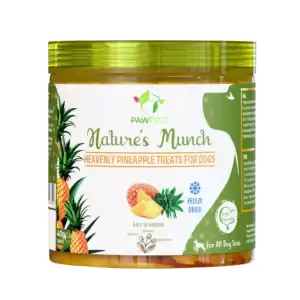 Pawfect Natures Munch Treats - Pineapple 40 gr
