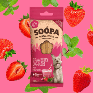 Soopa Dental Sticks - Strawberry Dog-Queri